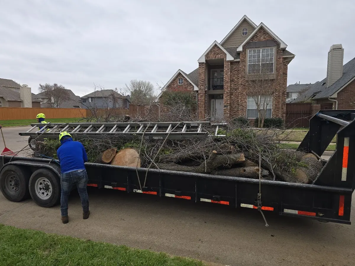 Expert Lot Clearing with proper safety equipment in Elton